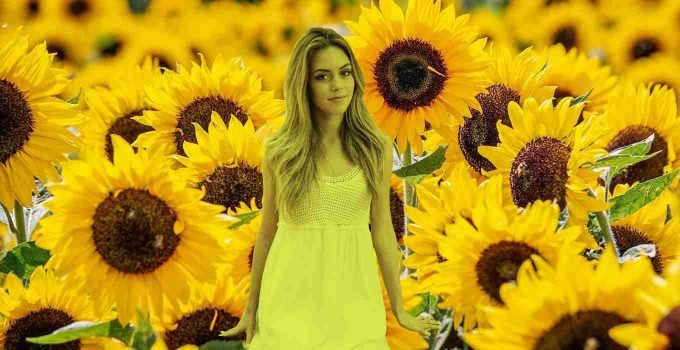 Girl in Sunflowers