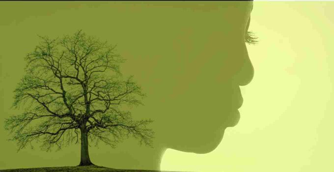 Woman, tree silhouette